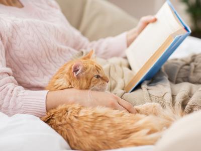 Kat og læsende kvinde